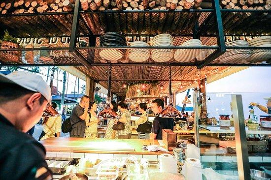 Coco Tam's X Peppina